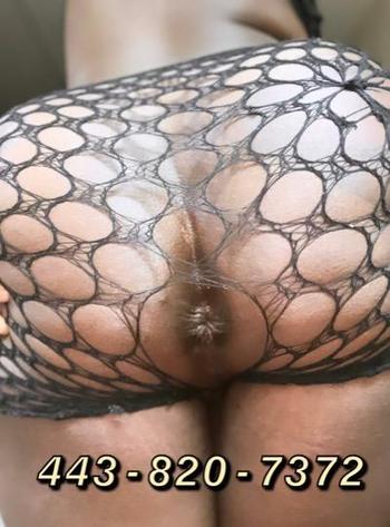 4438207372, transgender escort, Washington DC