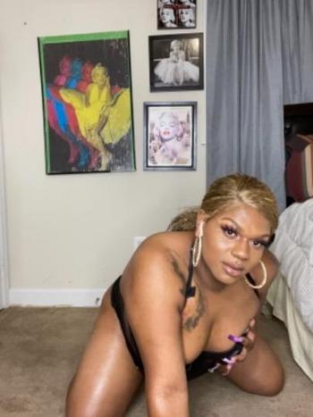 2028885036, transgender escort, Washington DC