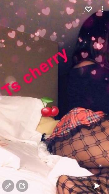 2029460014, transgender escort, Washington DC