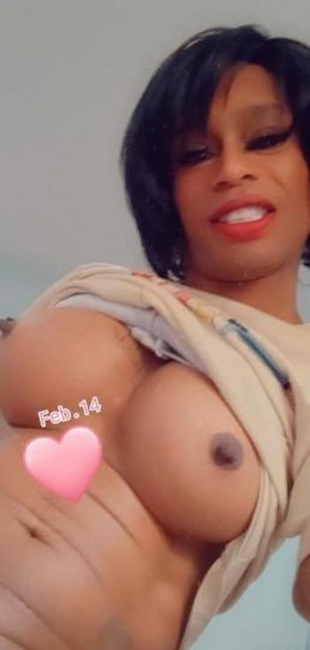 2405099308, transgender escort, Washington DC